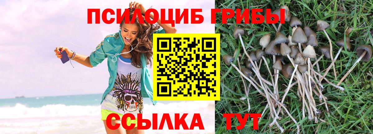Галлюциногенные грибы Cubensis Сердобск
